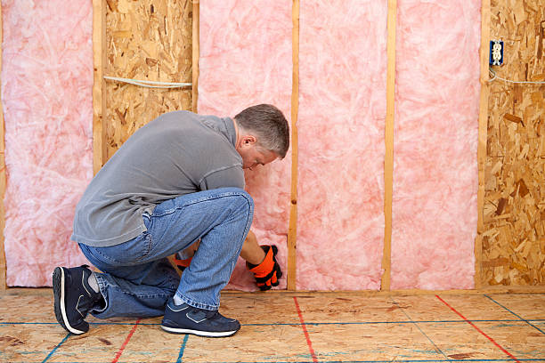 Best DIY Insulation Kits and Guidance in Borger, TX