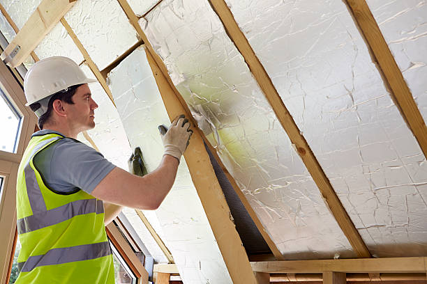 Best Eco-Friendly Insulation in Borger, TX