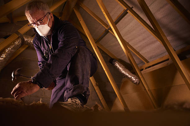 Best Commercial Insulation in Borger, TX
